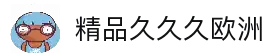 精品久久久欧洲探索欧洲隐秘之美,尽享文化与风景的完美融合!